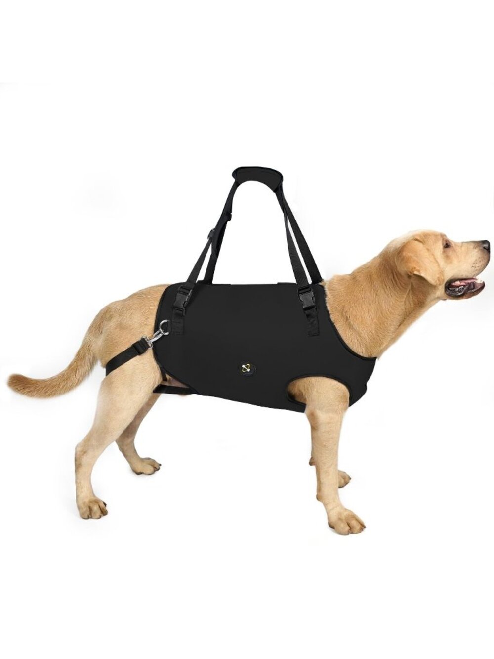 Coodeo Dog Lift Harness - Black, XS